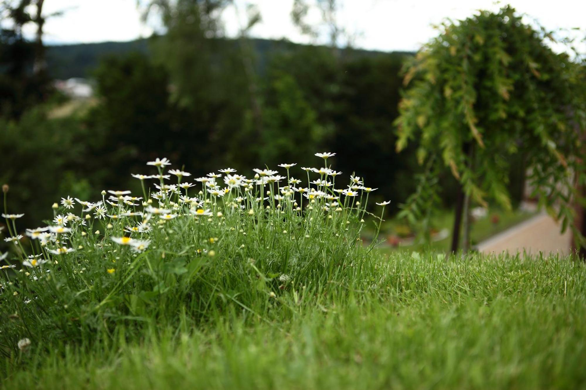 Favar Carpathians Skhidnytsia エクステリア 写真